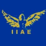 Indian Institute of Aircraft Engineering