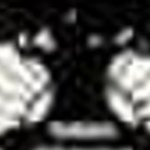 GH Patel Post Graduate Institute of Business Management