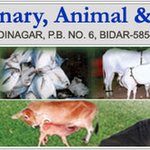 Veterinary College