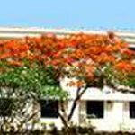 Maharishi Arvind Institute of Science and Management