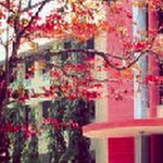 Loyola College of Social Sciences