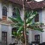 Raja Ravi Varma College of Fine Arts