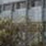 ATSS College Of Business Studies and Computer Application