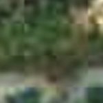 JSPM Jaywant Institute of Management Studies