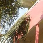 Swaraj College of Commerce and Computer Studies