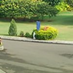 Vidya Prathisthan Arts Commerce and Science College