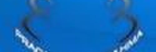 Anil Neerukonda Institute of Technology and Science