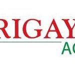 Srigayatri Academy